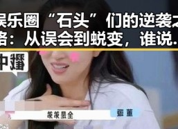 娱乐圈“石头”们的逆袭之路：从误会到蜕变，谁说明星不也会“掉坑”！
