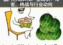 国内色情影视产业现状：秘密、挑战与行业动向
