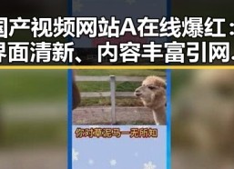 国产视频网站A在线爆红：界面清新、内容丰富引网友热议