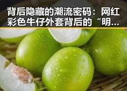 背后隐藏的潮流密码：网红彩色牛仔外套背后的“明星引流”秘密