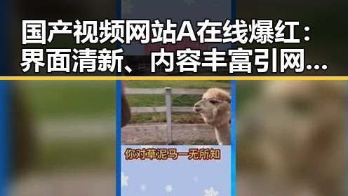 国产视频网站A在线爆红：界面清新、内容丰富引网友热议