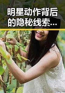 明星动作背后的隐秘线索：娱乐圈的“瓜”场究竟藏着什么？
