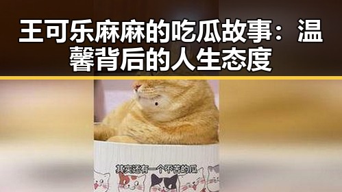 王可乐麻麻的吃瓜故事：温馨背后的人生态度