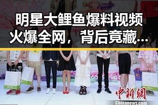 明星大鲤鱼爆料视频火爆全网,背后竟藏着这些秘密!🤫✨