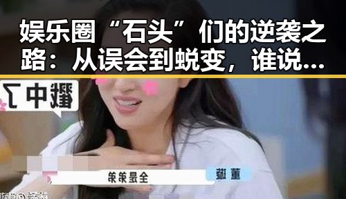 娱乐圈“石头”们的逆袭之路：从误会到蜕变，谁说明星不也会“掉坑”！